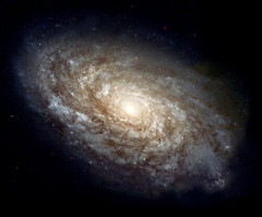 【困惑】偉い物理学者さん「この宇宙は何者かによるシミュレーション世界である可能性が極めて高い」