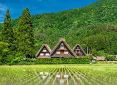 都会の人が田舎に憧れる理由、謎すぎる