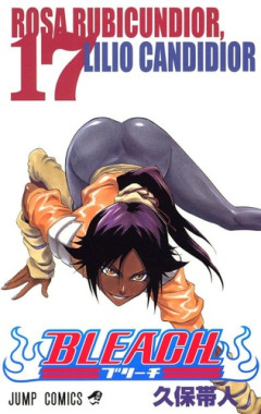 【画像】「BLEACH」の浦原喜助と夜一様って、そういう大人の関係なの？？？