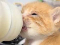 かわいい子は喉が渇いていた。その手は何ですか？ → こんな格好で飲んでいます…