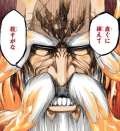 【BLEACH】山爺、怖すぎる