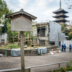 とにかく苦手、こわいもの何ですか？
