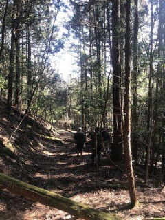 【悲報】野営と開拓がしたくて山地（80坪程度）を買うことにした