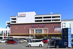 【悲報】島谷ひとみ、小島よしお、家入レオらのイオンモールイベント、全国で相次いで中止に
