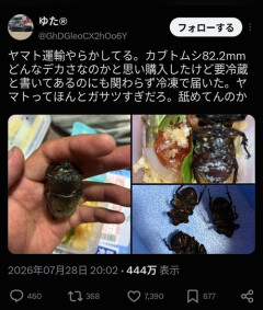 【悲報】配送会社、ガチでやらかす「カブト虫を購入したらこの状態で届いた」