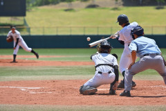 【衝撃】プロ野球人気の陰で10代の野球人口が20年で半減、男子実施率は過去最低・・・・・・・・・