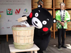 【悲報】くまモン、活動休止