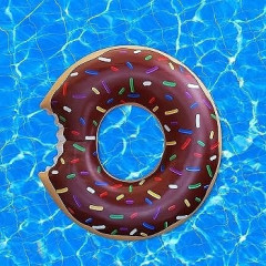 【画像】褐色水着ロリ「なんだこの浮き輪…かっけえ…」