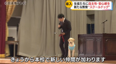 【画像】スクールドッグ🐶を導入した学校、不登校が激減　JK「犬のために学校行きたくなる」