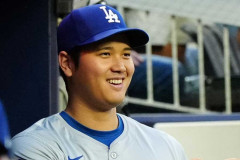 【朗報】大谷24HR 村上24HR 岡本24HR 鈴木18HR