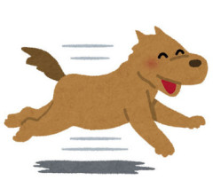 小学校の頃、１つ上の兄と公園の滑り台で遊んでいたら犬がむかってきた→犬は滑り台に登ることができず、兄と笑っていたら…