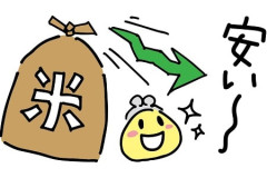 【コメ余り、価格暴落も】コメ問屋 「年末には多分(5キロ)2000円を切ります。年明けには、物によっては1000円切るのも出るかもしれません。農家さんが減ってしまうことが一番心配」