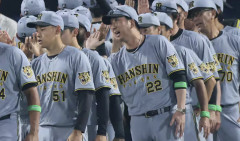 阪神ファン、2連勝なのになぜかキレ散らかす
