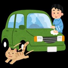 お隣の「外飼い猫」のせいで愛車にキズ　修理に1万、保険を使うと「等級ダウン」…お隣に弁償してもらえないでしょうか？
