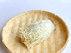 『キノコ嫌い』が絶対に理解できることがこれ →