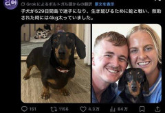 【感動】イッヌ、蛇の棲む島で529日間行方不明になるも無事飼い主と再会する
