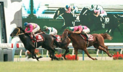 【訃報】ツルマルツヨシ号　逝去　31歳