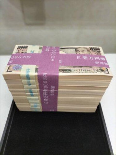 【悲報】世帯年収1000万「豊かな暮らしなんかできません！！！」