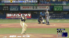 【ヤクルト対阪神15回戦】阪神・坂本誠志郎、二試合連発第4号ソロホームラン！！！！！！！！！！！！！！！