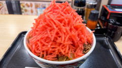 牛丼に紅しょうが乗せる良さがわからん