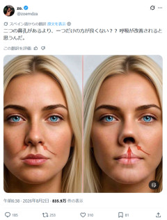 【画像】識者「『鼻の穴』って1つのほうが良くない？」←これ正論だよな？ｗｗｗｗ