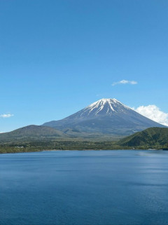 富士山の麓、青木ヶ原樹海に延長2kmの“石の壁”　いったい誰が何のために？　いまだ解明されない謎