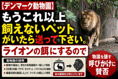 デンマーク動物園「もうこれ以上飼えないペットがいたら送って下さい。ライオンの餌にするので」動物愛護団体だんまりｗ