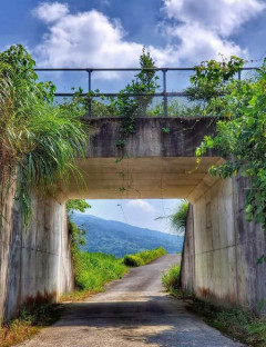 【画像】8月だから夏に撮った写真あげていく