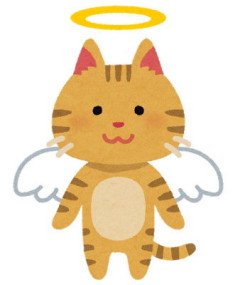 愛猫が友人には見えていなかった。猫が私の不注意で脱走してしまって、必氏に探したんだけど見付からなくて本当に心に穴があいたみたいに暫く無気力だった。でも数ヶ月