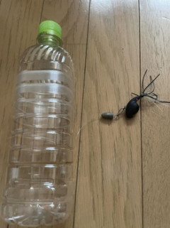 お手軽釣具作ったやで（※画像あり）