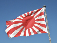 何でこの国って「日本がすることは全部正しい！」みたいな人が増えたの？