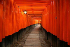【悲報】1人京都旅行2日目や！