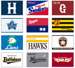 プロ野球観客動員率ランキング、中日が12球団2位ｗｗｗ