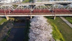 【京都】桂大橋で若い女性が「死にたい」と身を乗り出した結果・・・