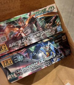 ガンプラでレアキット買った報告する文化ってここ数年で急に生えた訳じゃないんだってね