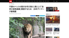 デンマークの動物園「もうこれ以上飼えないペットがいたらどんどん送って下さい。ライオンの餌にするので」