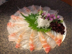 【悲報】マグロより鯛の方が美味いじゃん