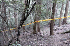 【悲報】ベトナム人「腹が減って婆さん殺した、車も盗んだ」