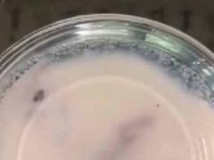 可愛い子が並んで牛乳を飲んでいた。それを下から見てみた → こんな様子です…