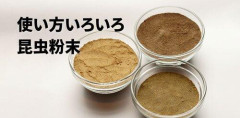 【悲報】コオロギ食を広めて倒産した人さん、全く諦めていなかった・・・・・・・・・