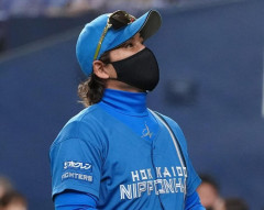 北海道日本ハムファイターズがSBに中々勝ててない理由←これ