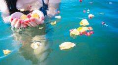 【画像】美人女子3人組の水着姿、真っ昼間から全国放送されるｗｗｗｗｗｗｗｗ