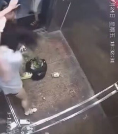 【動画】中華まんさん、野菜まみれで喧嘩してしまうｗｗｗｗｗ