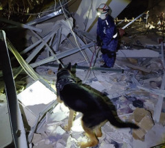 熊本地震で派遣の海自警備犬が任務を終えて帰還…爆発したイオンモール熊本で活動！