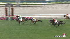 【土曜札幌10R】12番レースに居なかったぞ