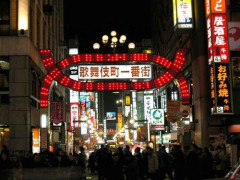 【衝撃】半グレさん、歌舞伎町の人混みの中で拉致成功・・・・・・・・・