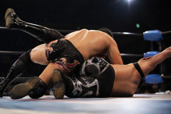 【衝撃】全盛期のプロレスの視聴率ｗｗｗｗｗｗｗｗｗ