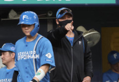 北海道日本ハムファイターズがSBに中々勝ててない理由←これ