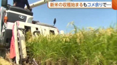 【悲報】米の値段大暴落の危機。在庫が山程ある状態で新米の収穫始まる。「米農家が生活できない」