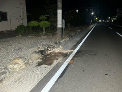 【共産党】「選挙カーがぶつかっている」知事選候補を支援する団体の街宣車が道路左側の電柱に衝突　県議と運動員が重傷　長野